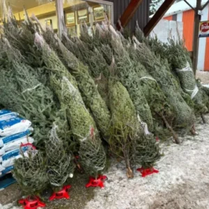 10.6 m Artificial Christmas Tree
