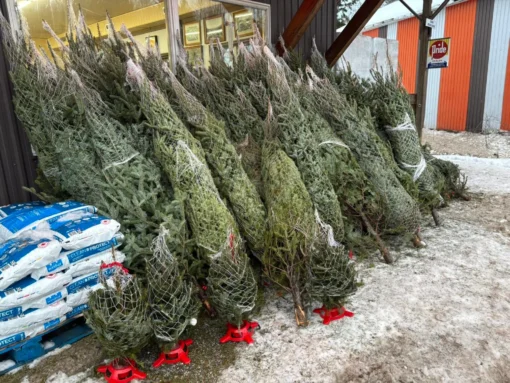 10.6 m Artificial Christmas Tree